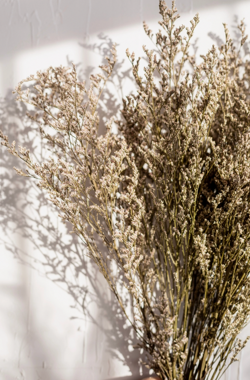 Natural Preserved Limonium