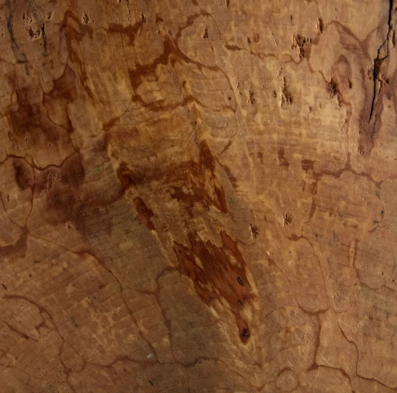 Spalted Bowl