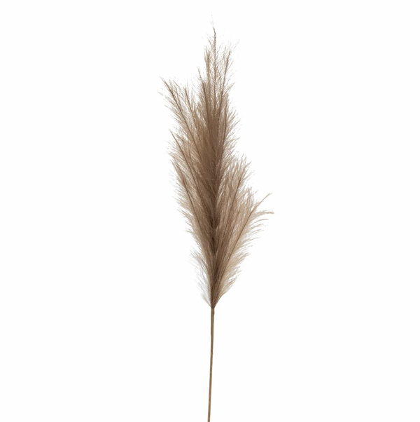 Faux Pampas Grass - Light Brown