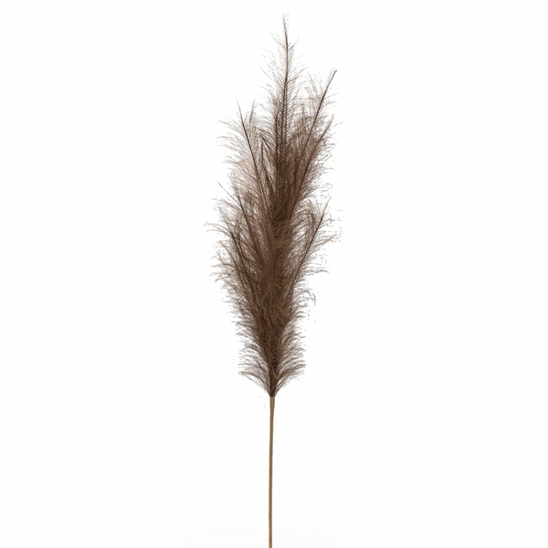 Faux Pampas Grass - Dark Brown